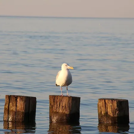 Апартаменты Island House Piet On The Island Of Poel *